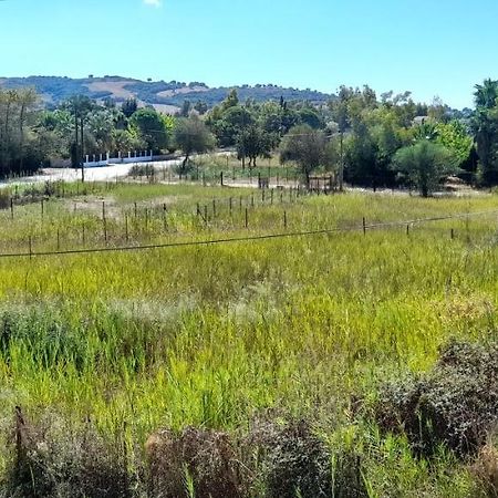 Lakkopetra Beach Apartments Lakopetra Εξωτερικό φωτογραφία