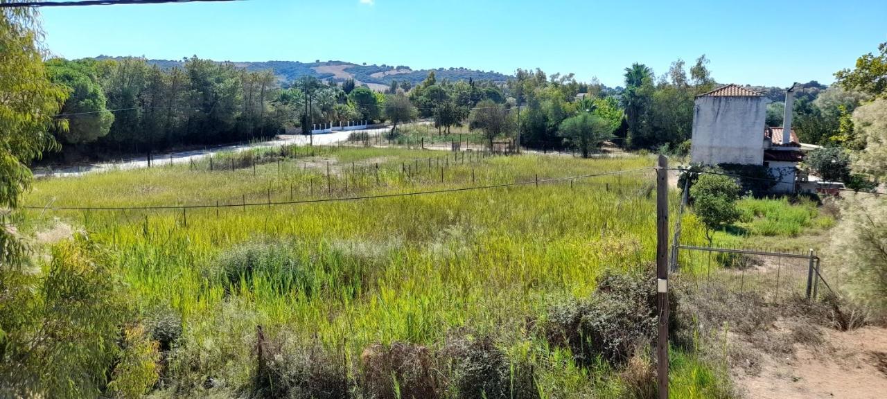 Lakkopetra Beach Apartments Lakopetra Εξωτερικό φωτογραφία
